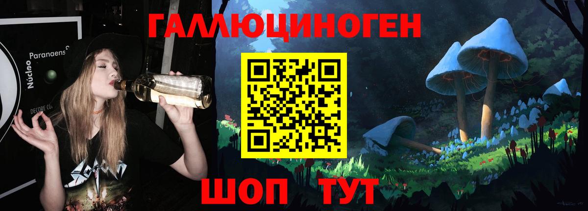 Богданович  Галлюциногенные грибы Cubensis  Вход с VPN  цена наркотик  Псилоцибиновые грибы ЛСД 